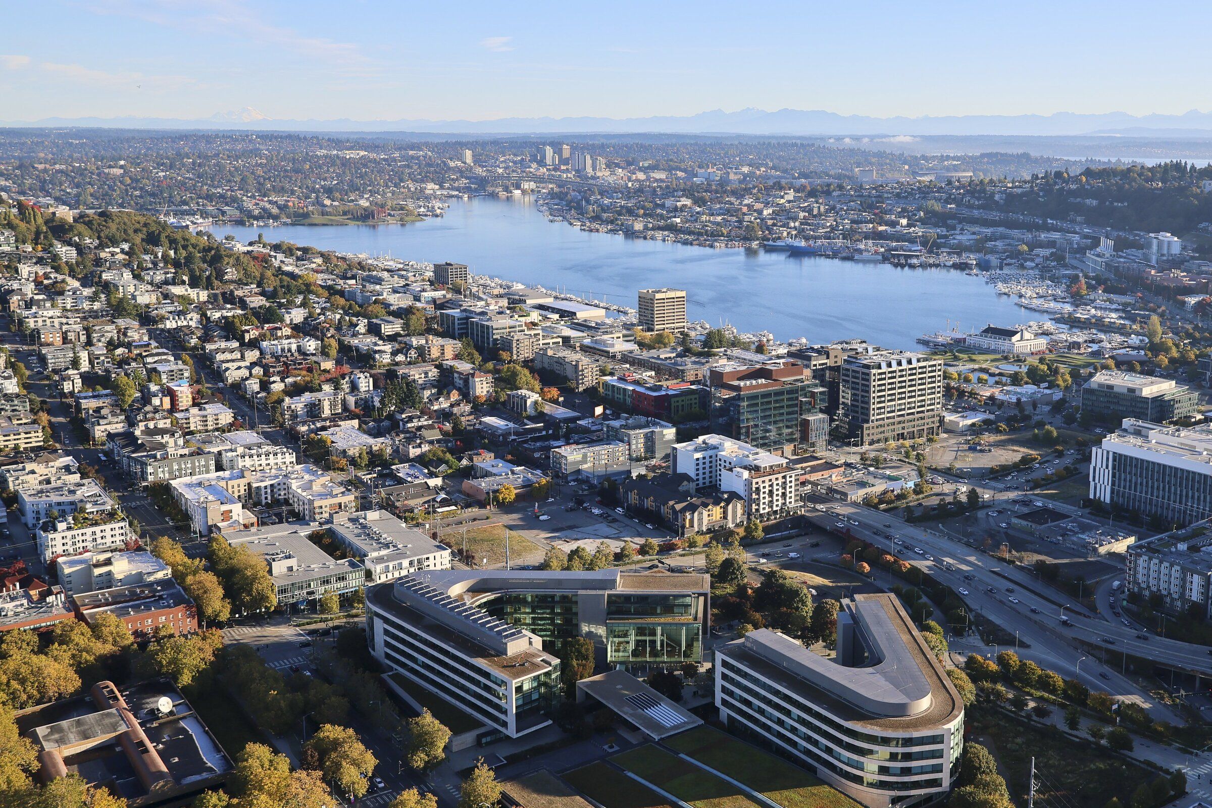 Lake Union, seen from the Space Needle on Oct. 15. According to the most current census data, South Lake Union was one of four neighborhoods in Seattle without children in 2024. (Kevin Clark / The Seattle Times)