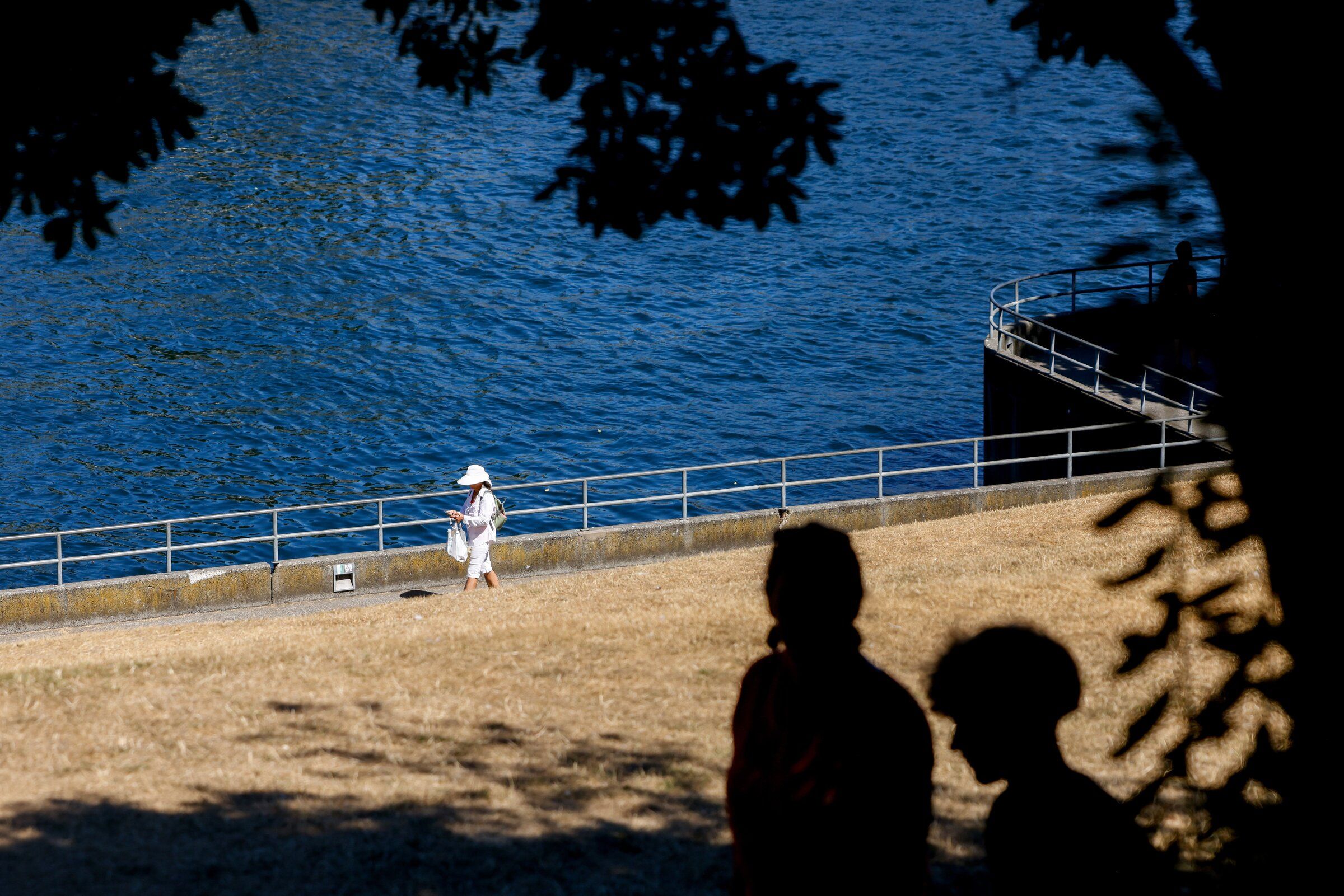 Pedestrians walk through Commodore Park near the Hiram M. Chittenden Locks in Seattle on Thursday, August 20, 2026. 234052 (Andrew Burke-Stevenson / The Seattle Times)