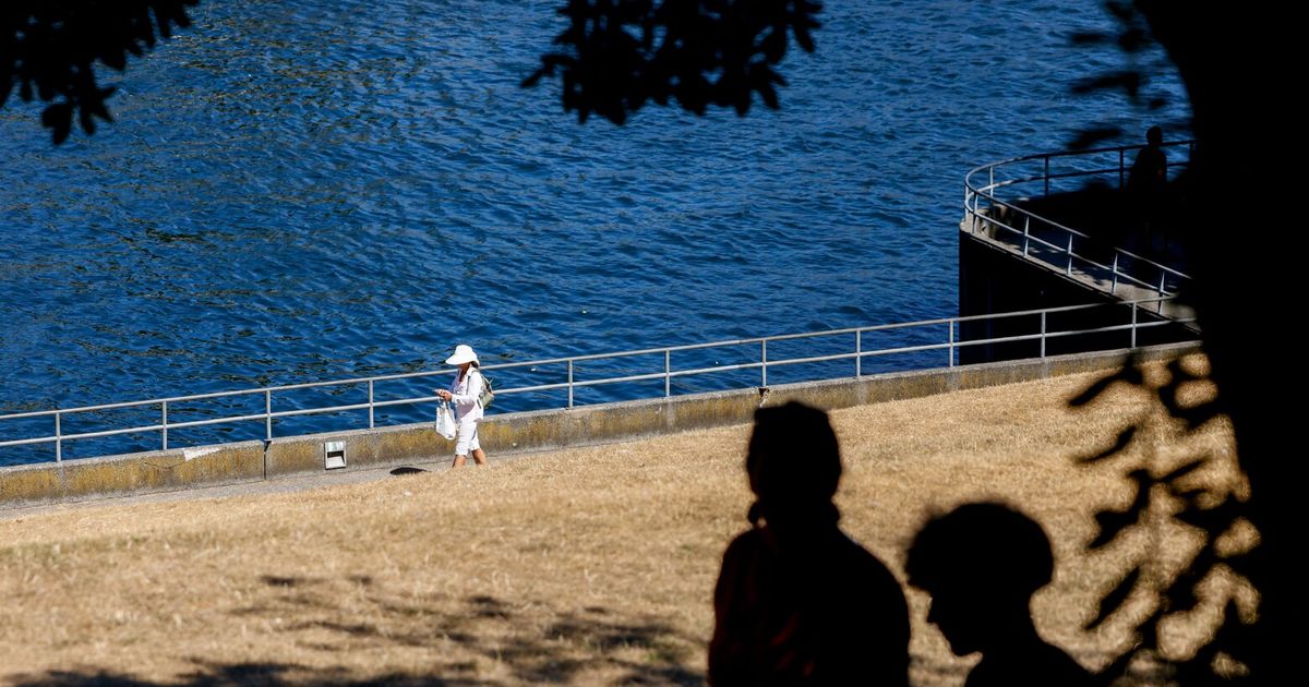Seattle weather: Sunshine for the last full week of summer