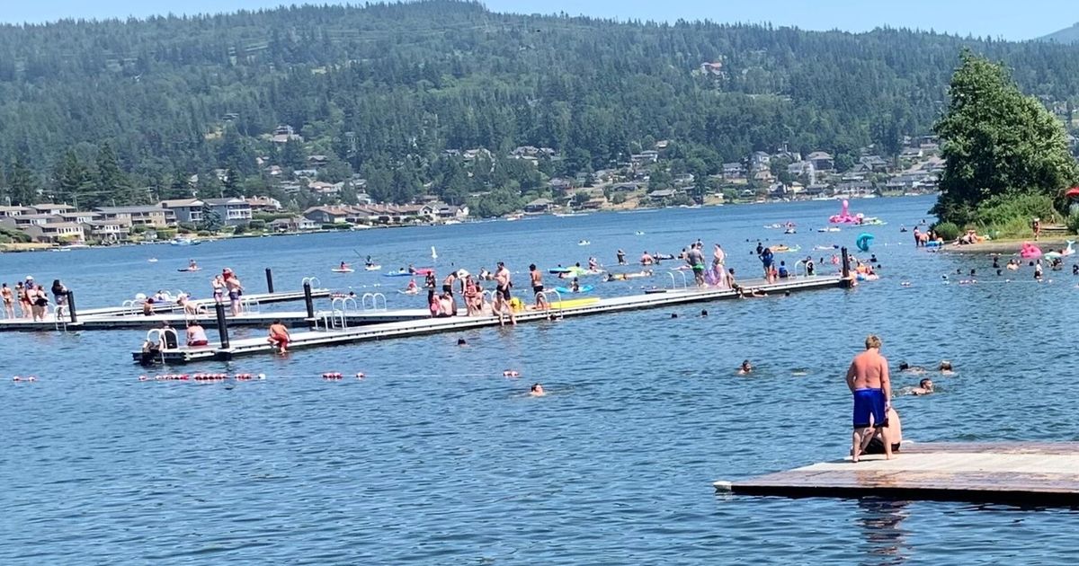 Another black bear encounter injures 2 near Lake Whatcom