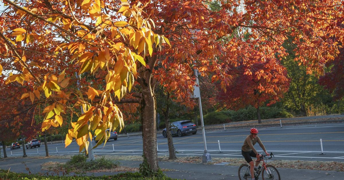 Colorful hint of autumn