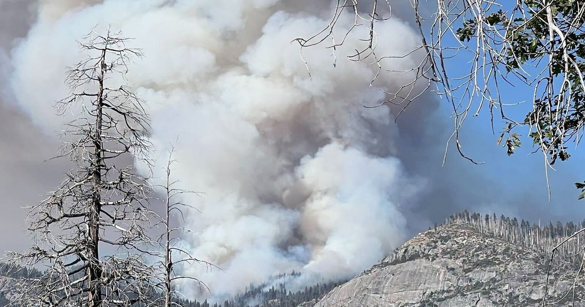 Wildfire expands to 1,000+ acres in Yosemite National Park