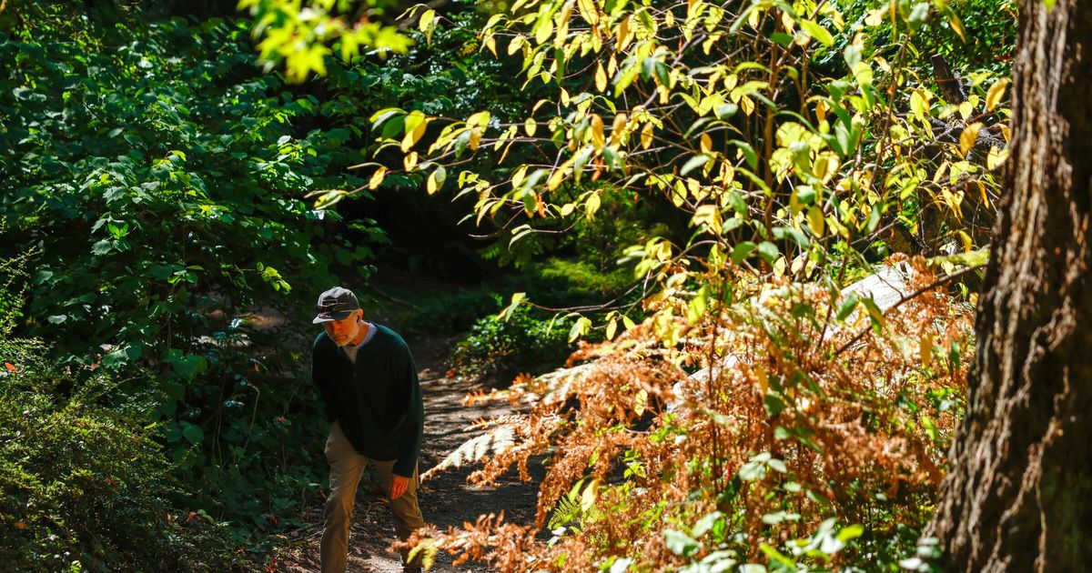 A stroll to wind down the week