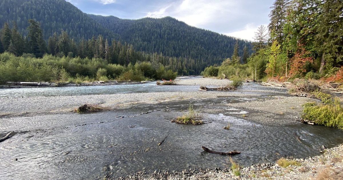 Hoh River Bridge to close for repairs; long detours on Highway 101