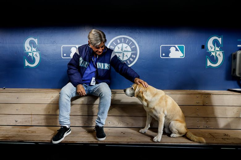 Seattle Mariners broadcaster Rick Rizzs sits in the dugout with grounds crew dog Tucker, Sept. 24, 2026, in Seattle. (Dean Rutz / The Seattle Times)