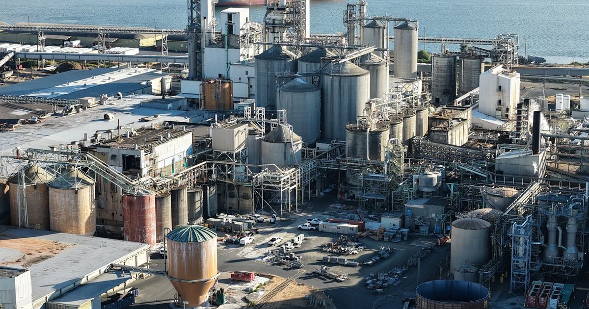 Longview lawmaker proposes state regulation after paper mill disaster