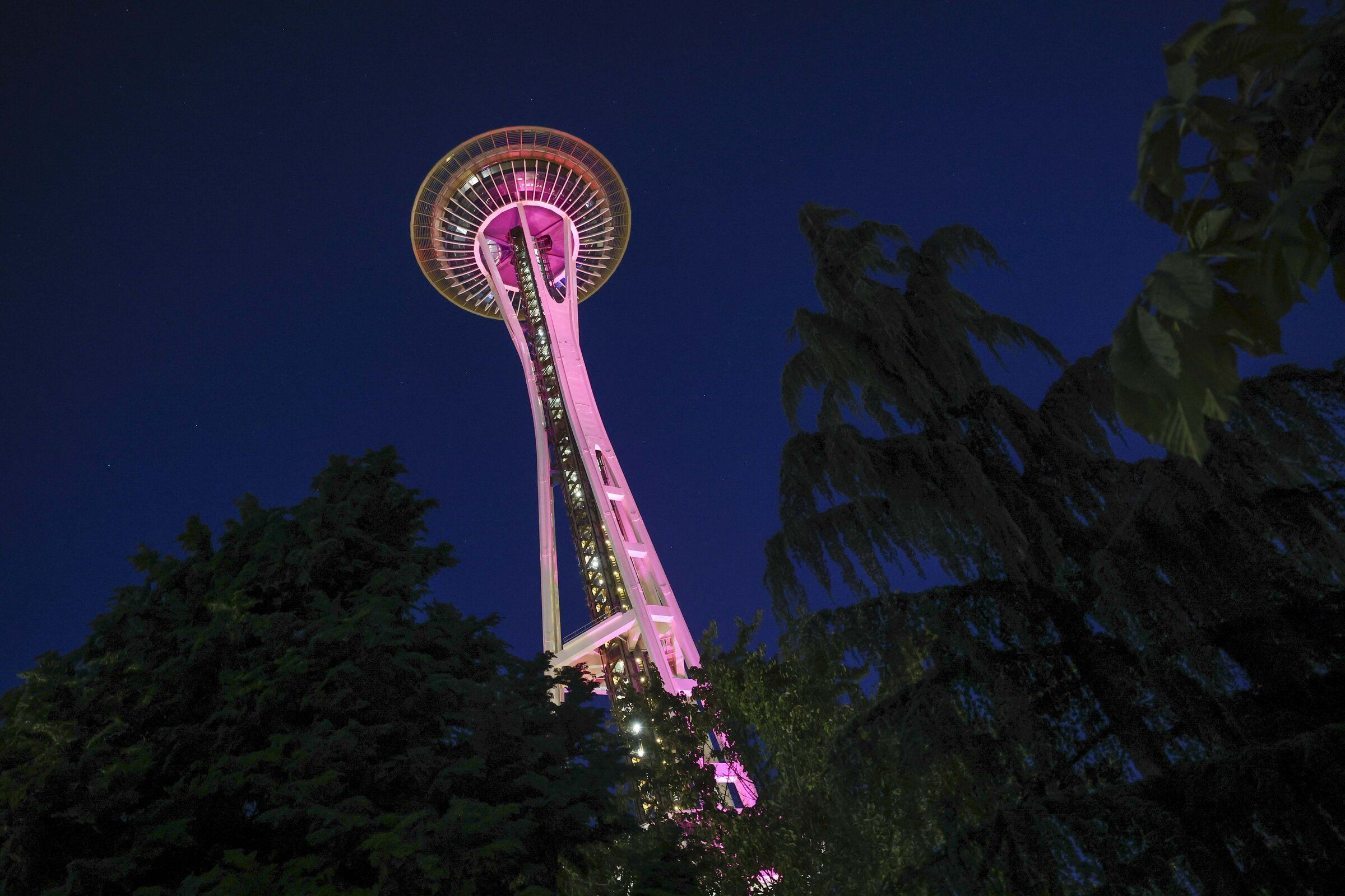 The Space Needle lights up pink in memory of Dolly Parton on 9/25, aka Dolly Parton Day, in Seattle on Friday. (Ivy Ceballo / The Seattle Times)