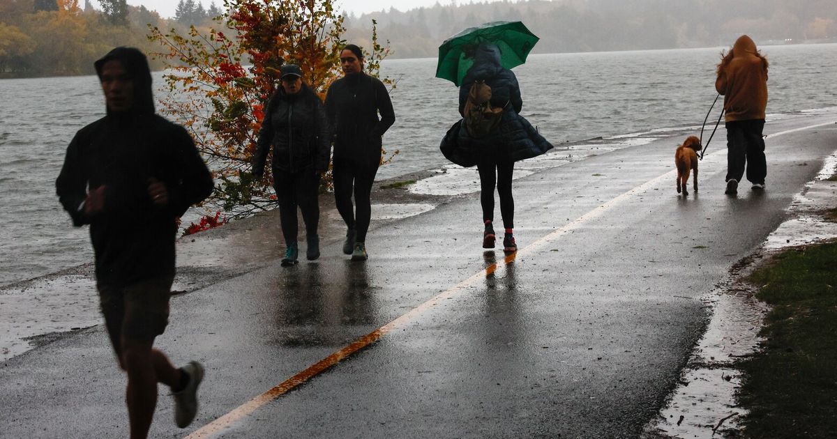 Wind advisory issued Tacoma southward; gusts up to 45 mph