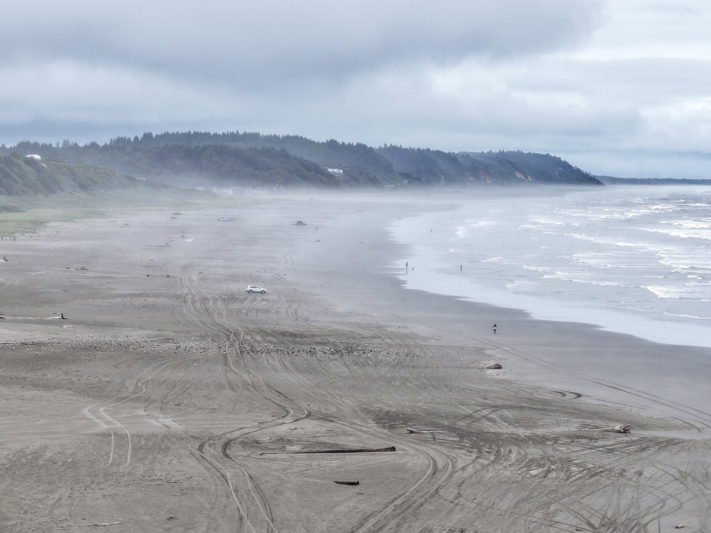 Scenes on the beach at Moclips on June 25, along Washington’s outer coast. (Karen Ducey / The Seattle Times)
