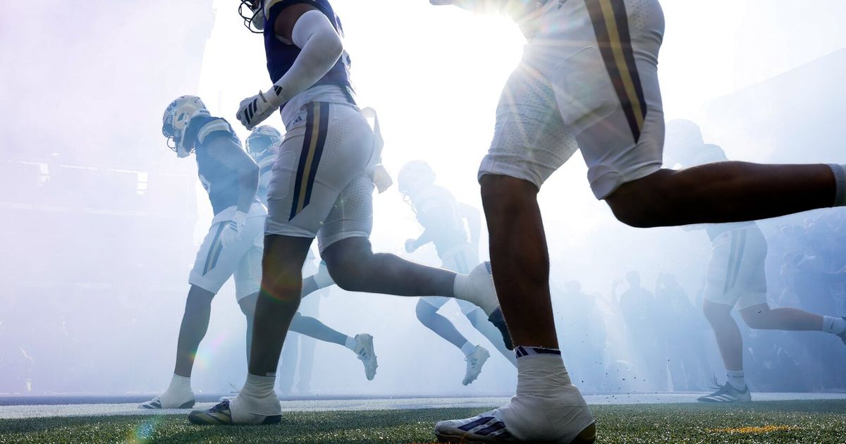 Washington Huskies, Washington State Cougars score high on Panic Meter