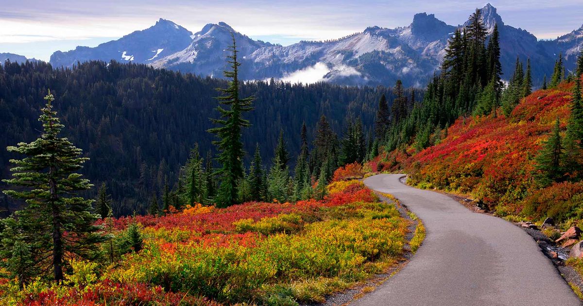 Sponsored: A fall road trip to Mount Rainier’s magical colors, mushrooms and more