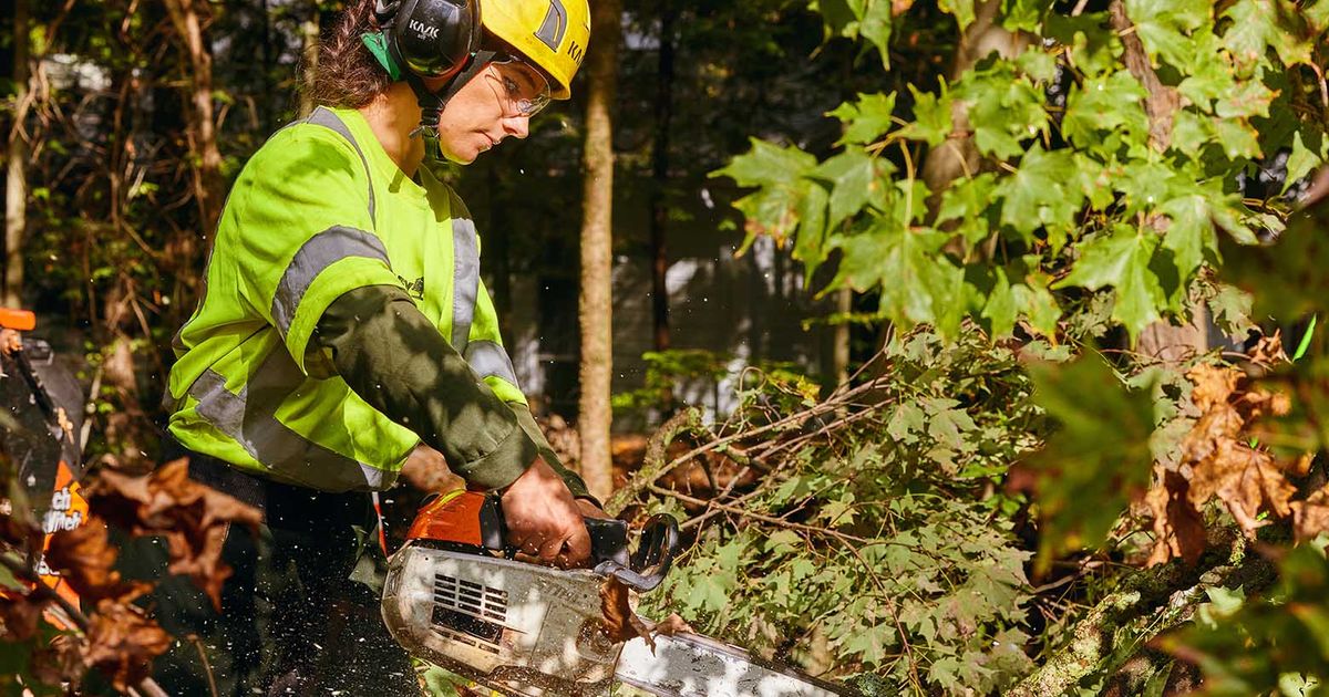 Sponsored: Why tree pruning is crucial before severe weather strikes
