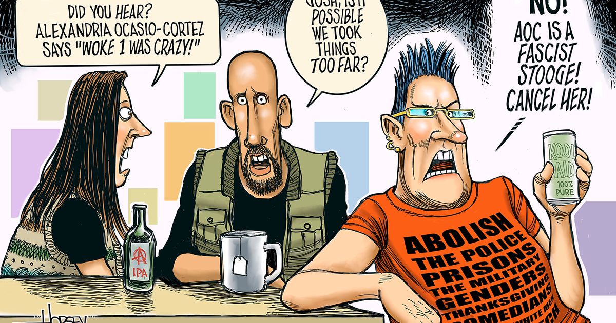 ‘Woke’ is a four-letter word for rising progressives