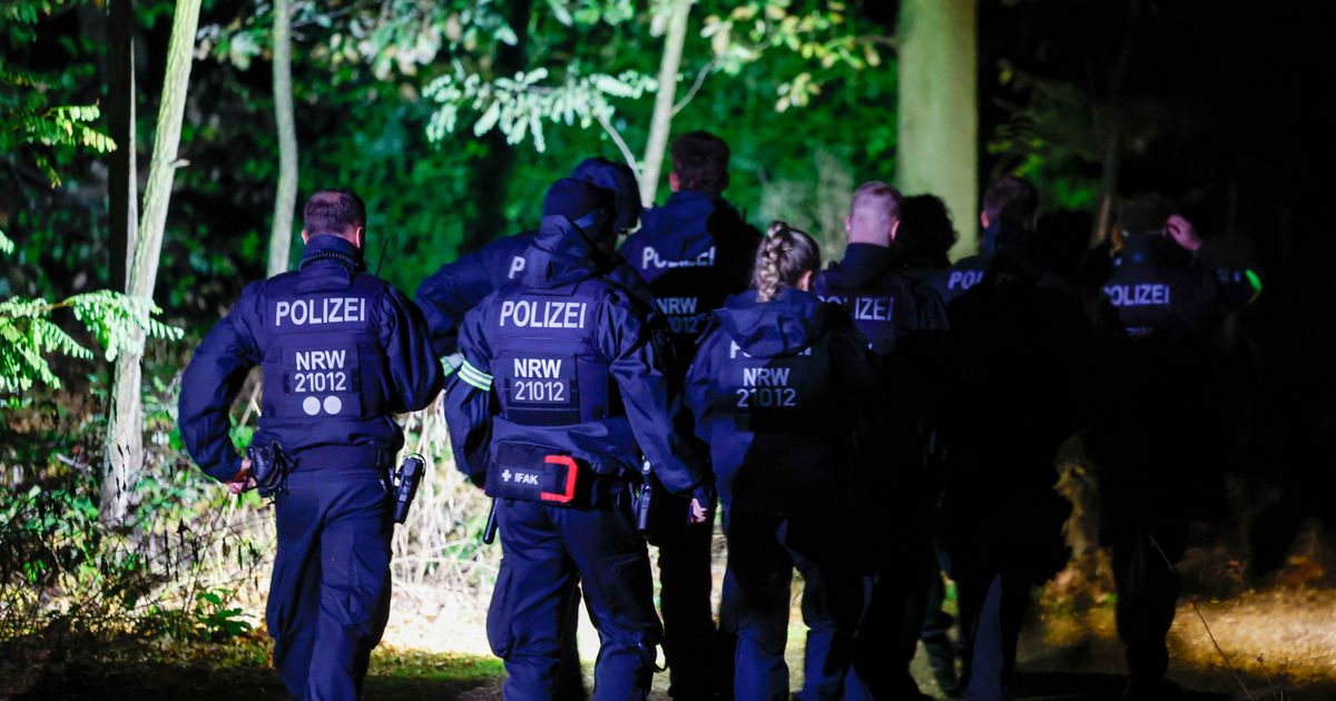 Police arrest suspect in Germany power grid attacks after dayslong search