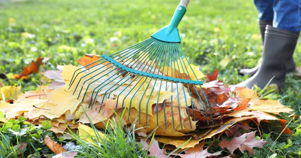 Ticks turn routine fall yard work into a health risk