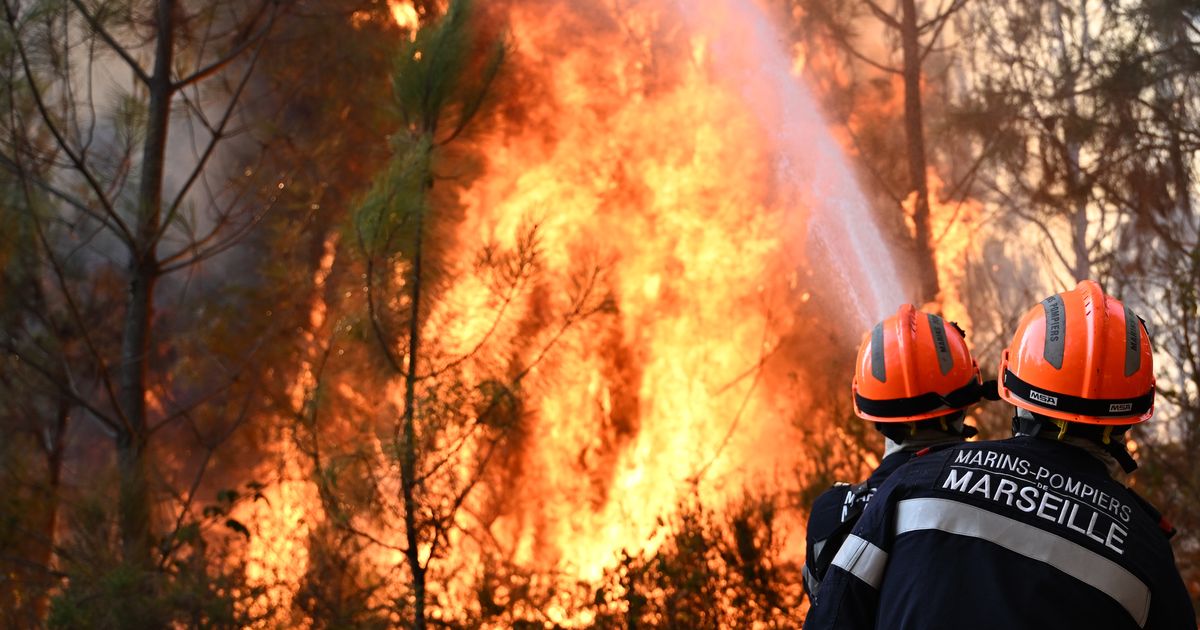 EU plans new firefighting fleet after deadly summer heat wave