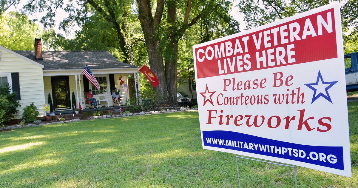 America’s story intertwined with its military history, but a military-civilian disconnect persists
