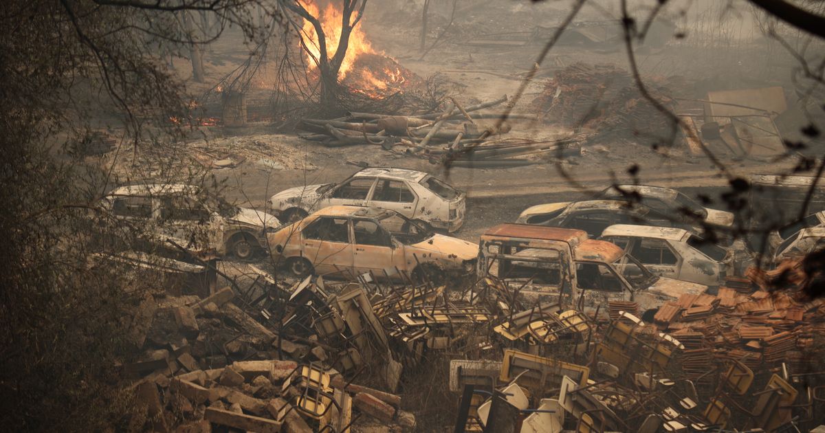 Algerians battle deadly wildfires as Tebboune seeks death penalty for arson