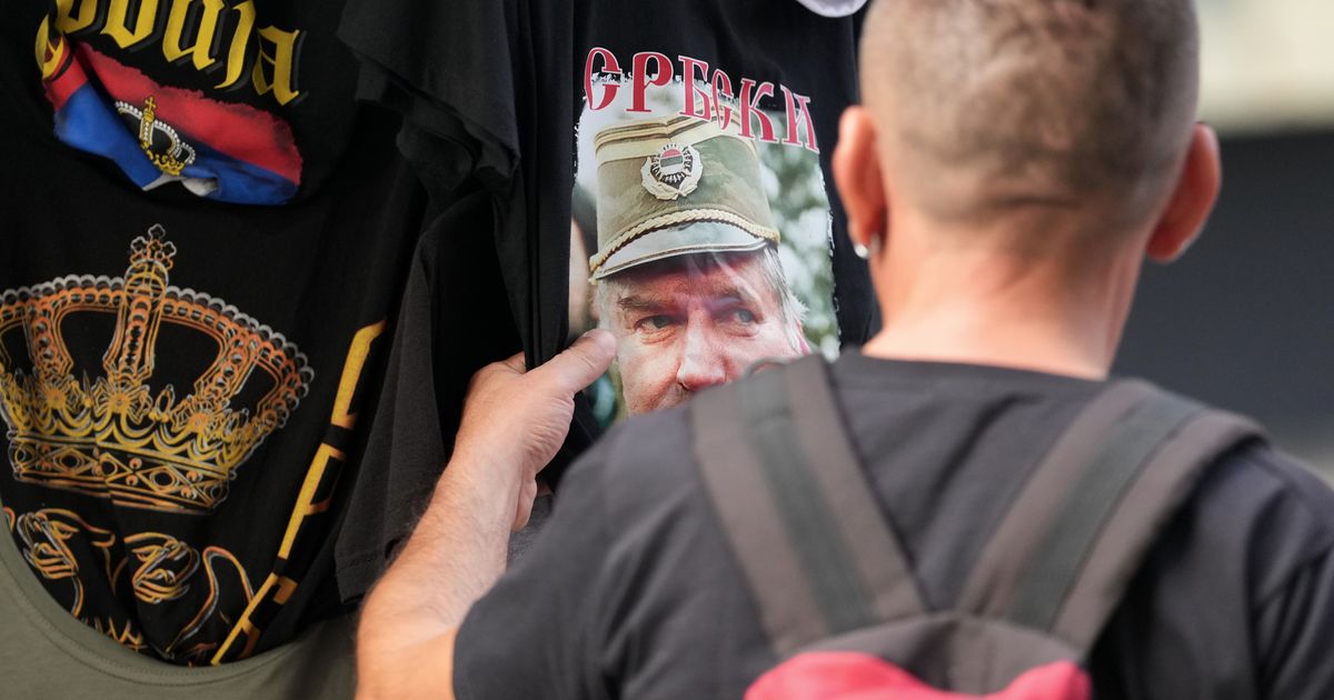 EU official scraps planned Serbia visit over handling of convicted war criminal Ratko Mladic’s death