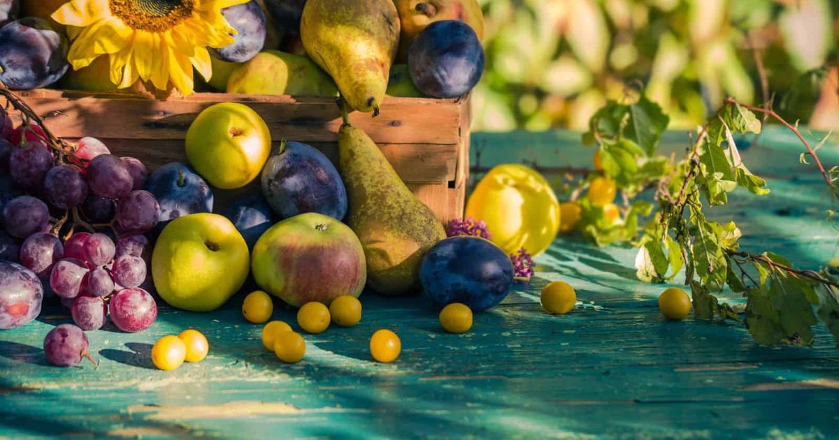 Fall cooking for a September that hasn’t cooled off