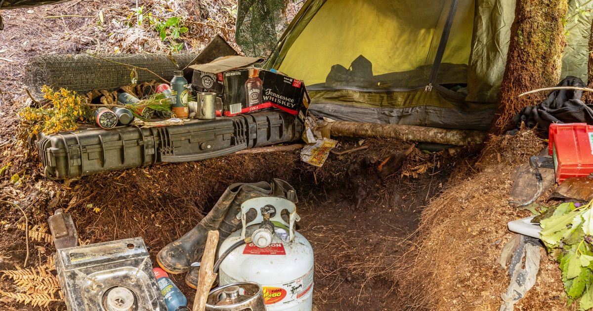 Inquiry into New Zealand man who hid his kids in forest for years lambasts officials’ actions