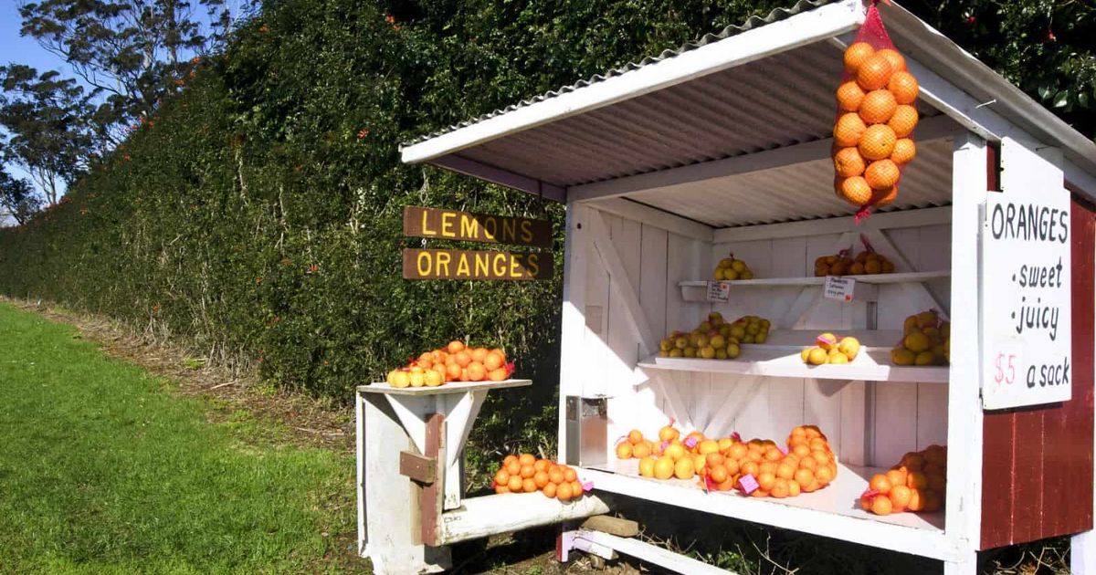 Farm stands tap into nostalgia as demand for local food grows