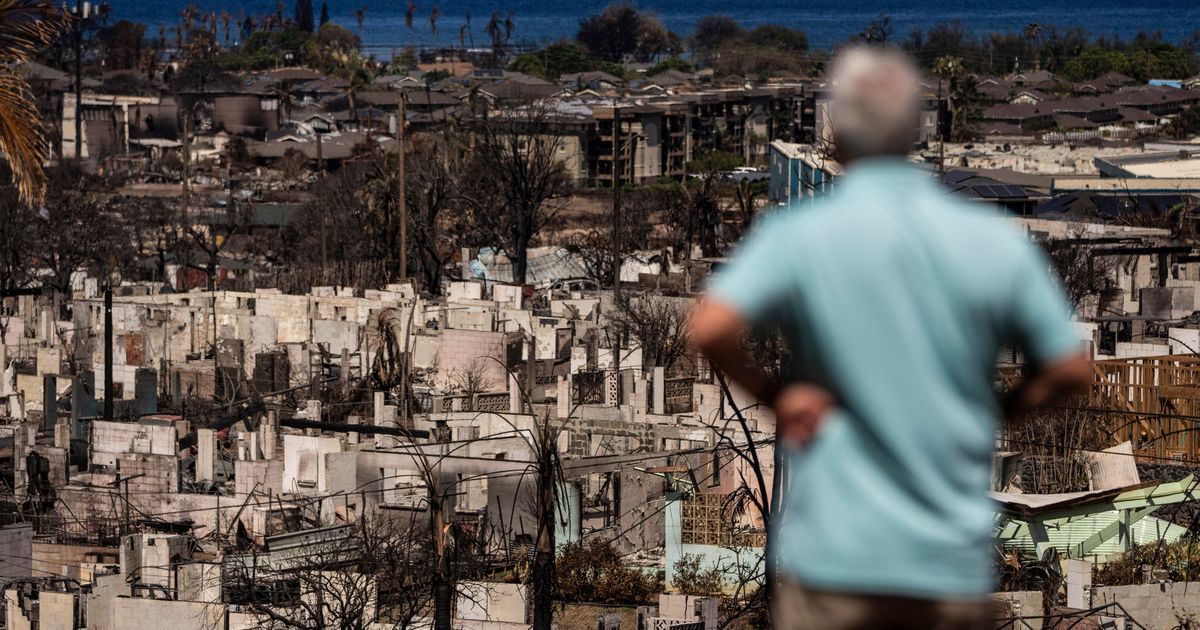 Residents near Maui wildfires show elevated metals linked to impacted lung health, study says