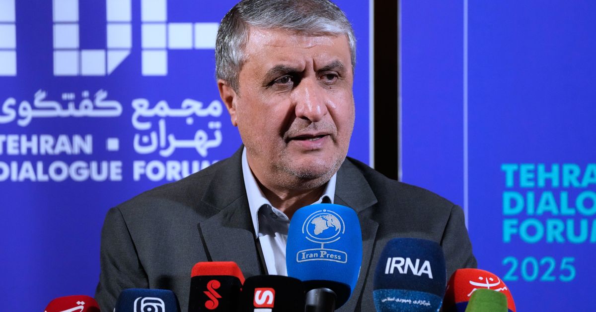 Iran’s nuclear chief not expected to attend IAEA General Conference, official says