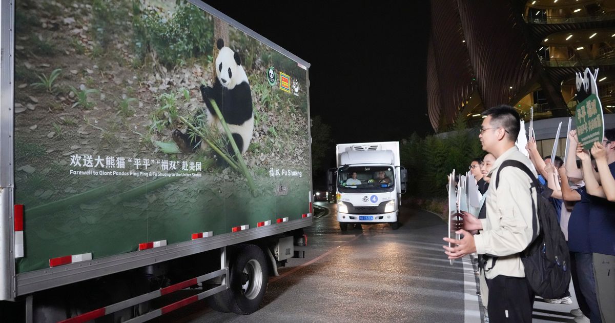 2 giant pandas set off to Atlanta zoo from China after Xi-Trump summit