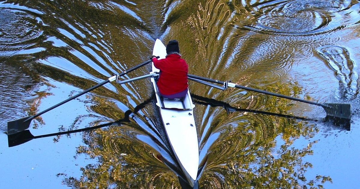 Sammamish Slough reflects patterns, shapes and imagination