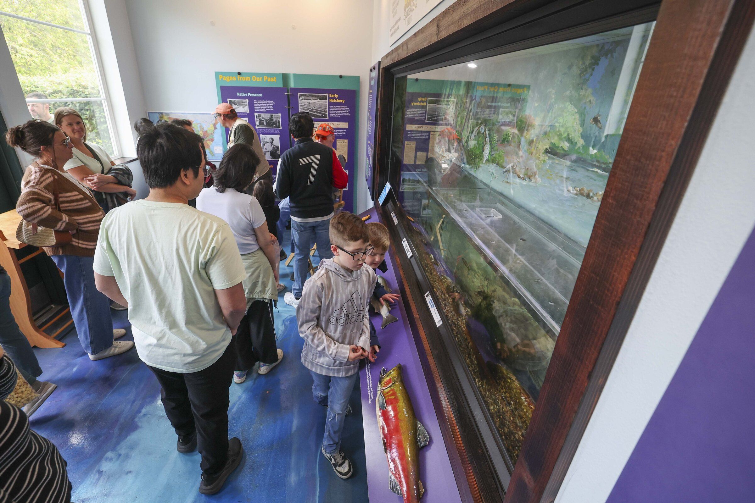 The interior of the Issaquah Salmon Hatchery includes a room with aquariums and a theater where a short film is shown. (Ivy Sebayo / The Seattle Times)