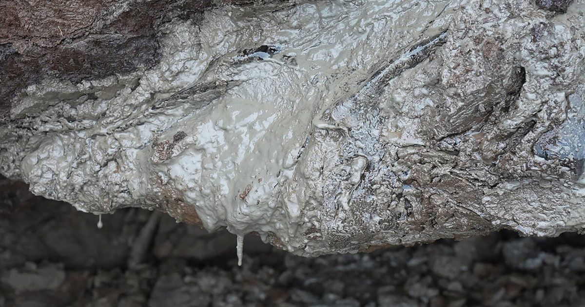 Heat-trapping gas once frozen in Arctic ground is slowly leaking and warming the planet