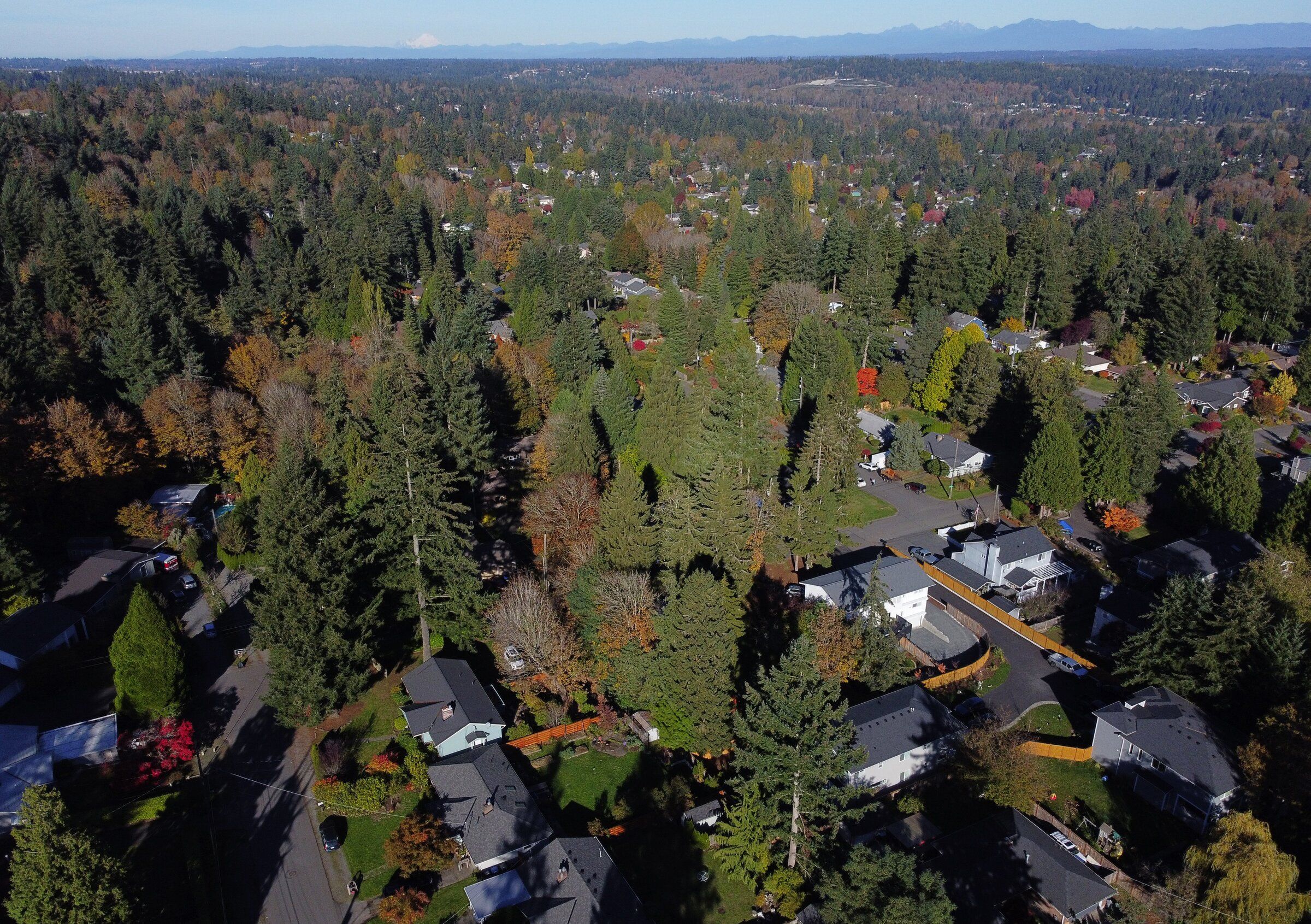 The Lake Forest Park area. (Ken Lambert / The Seattle Times, 2020)