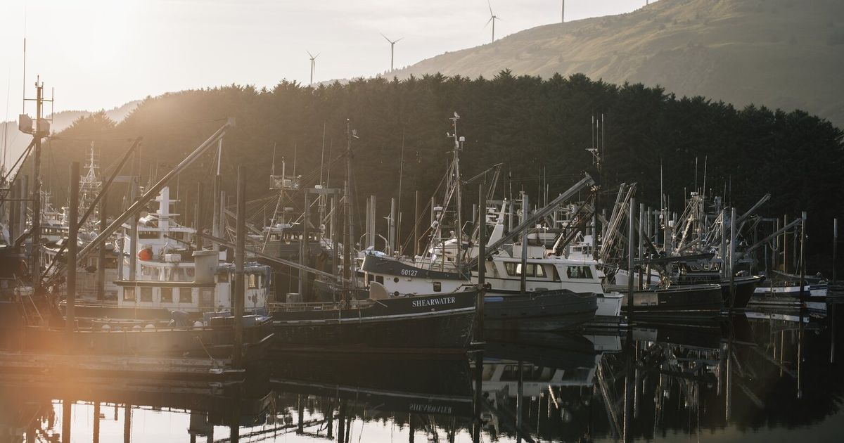 How Alaska’s fish became a defining issue for the midterms
