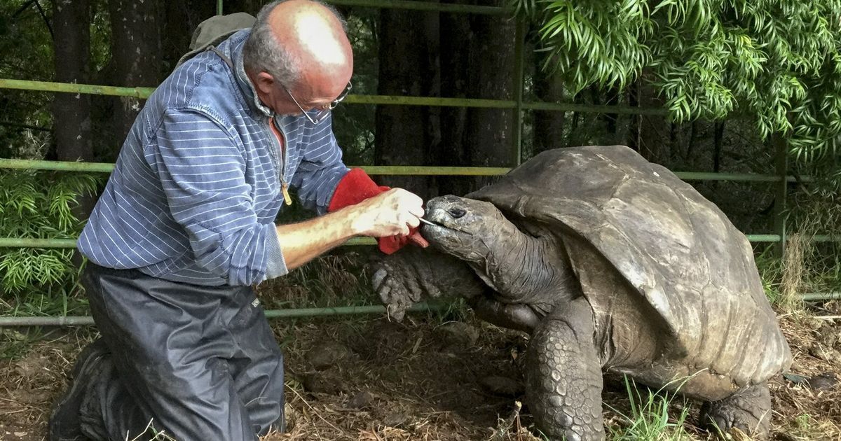 At 194, Jonathan the giant tortoise knows about aging