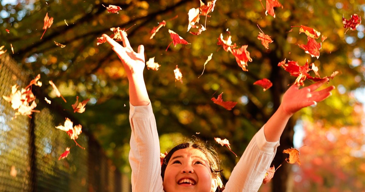 Fall foliage fling