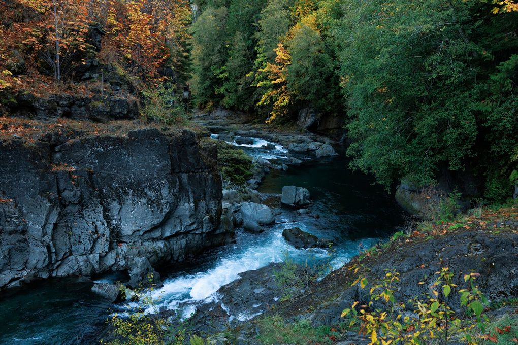 The Elwha River flows below the canyon walls where the Elwha Dam once stood near Port Angeles, Wash. Wednesday, Oct. 7, 2026.  This area, described the project lands where the dam was blasted and a river freed, is slated to return to the Lower Elwha Klallam Tribe.    (Erika Schultz / The Seattle Times)