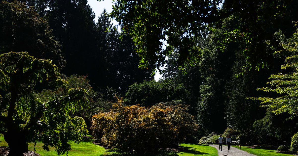Seattle weather: Mild weather turns to warm burst later in the week