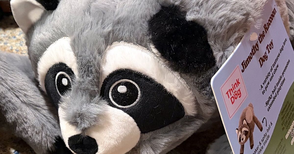 Jimothy hits peak fame at Costco stores