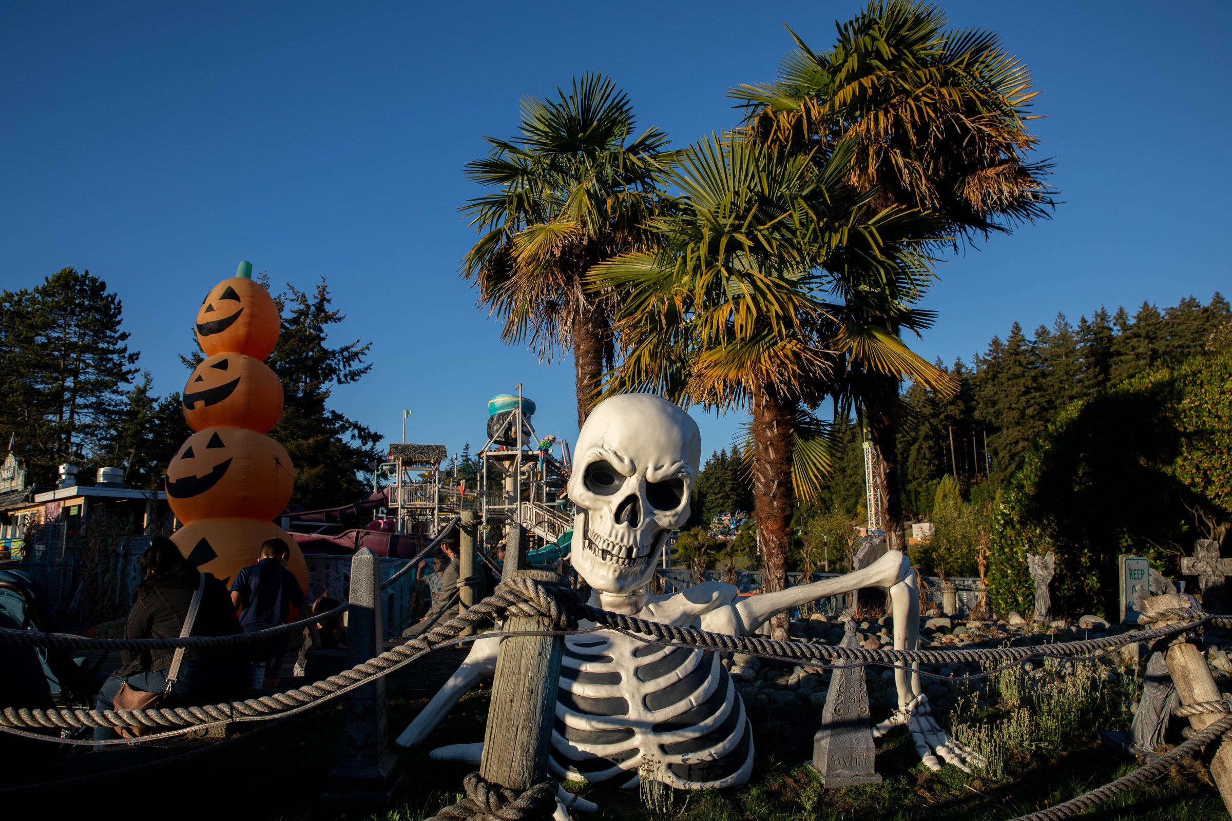 Wild Waves' Fright Fest: Visiting my childhood haunt one last time