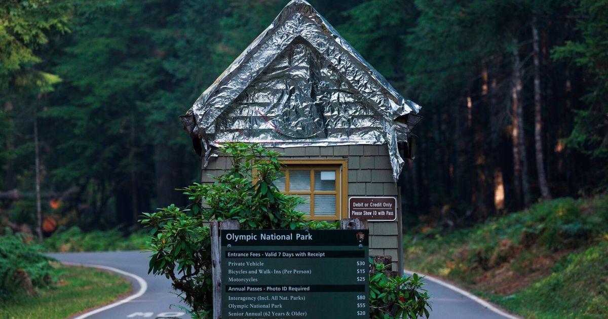 Hiker found dead on Mount Storm King in Olympic National Park