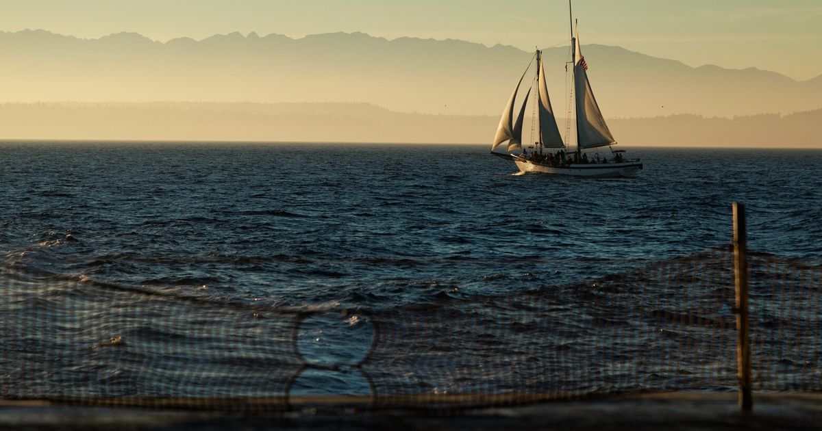 White sails in the sunset
