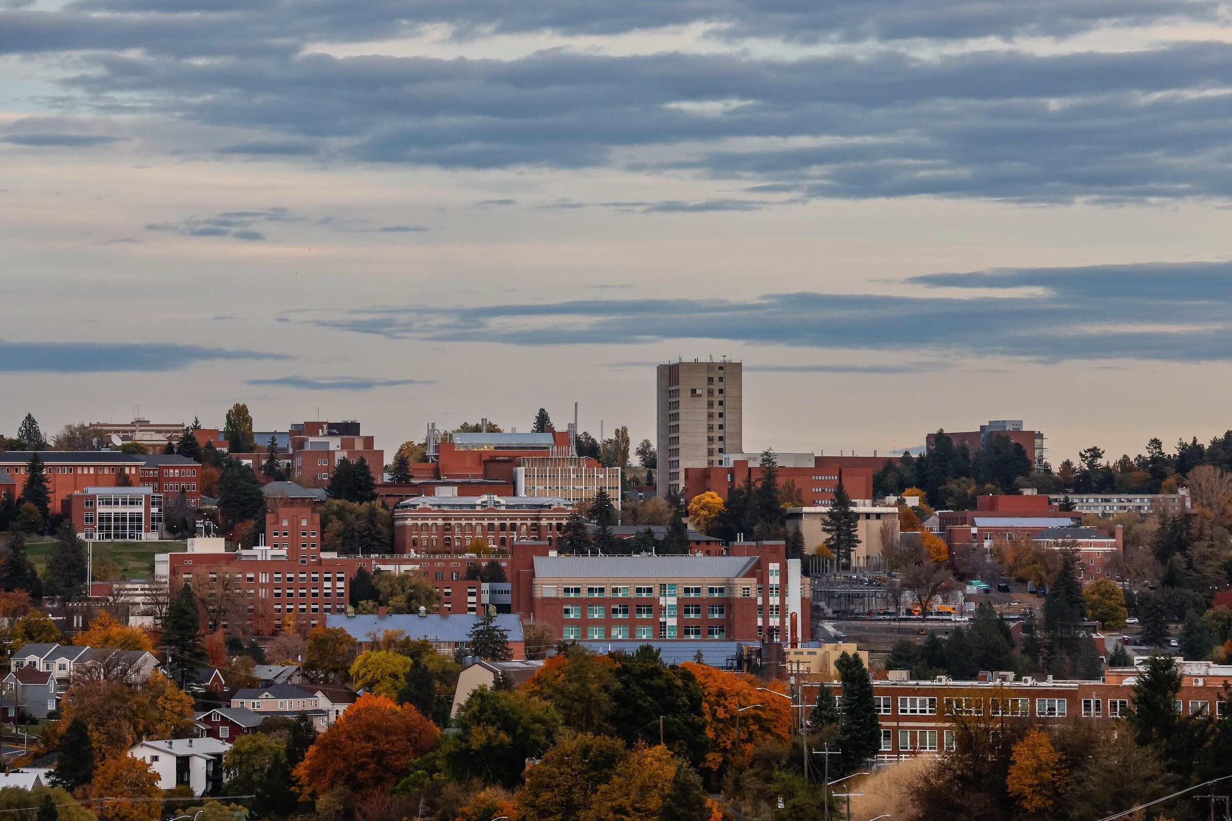 Washington State University in Pullman in 2024. (Dean Rutz / The Seattle Times)