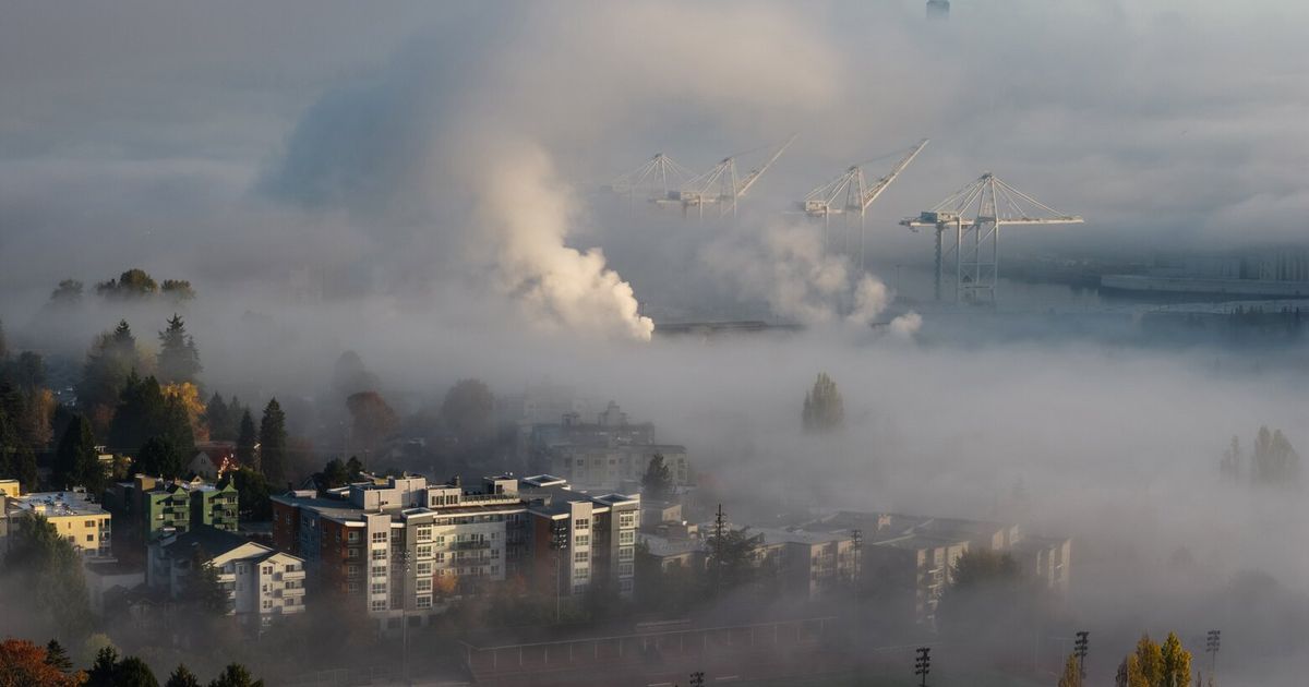 Lost in the clouds