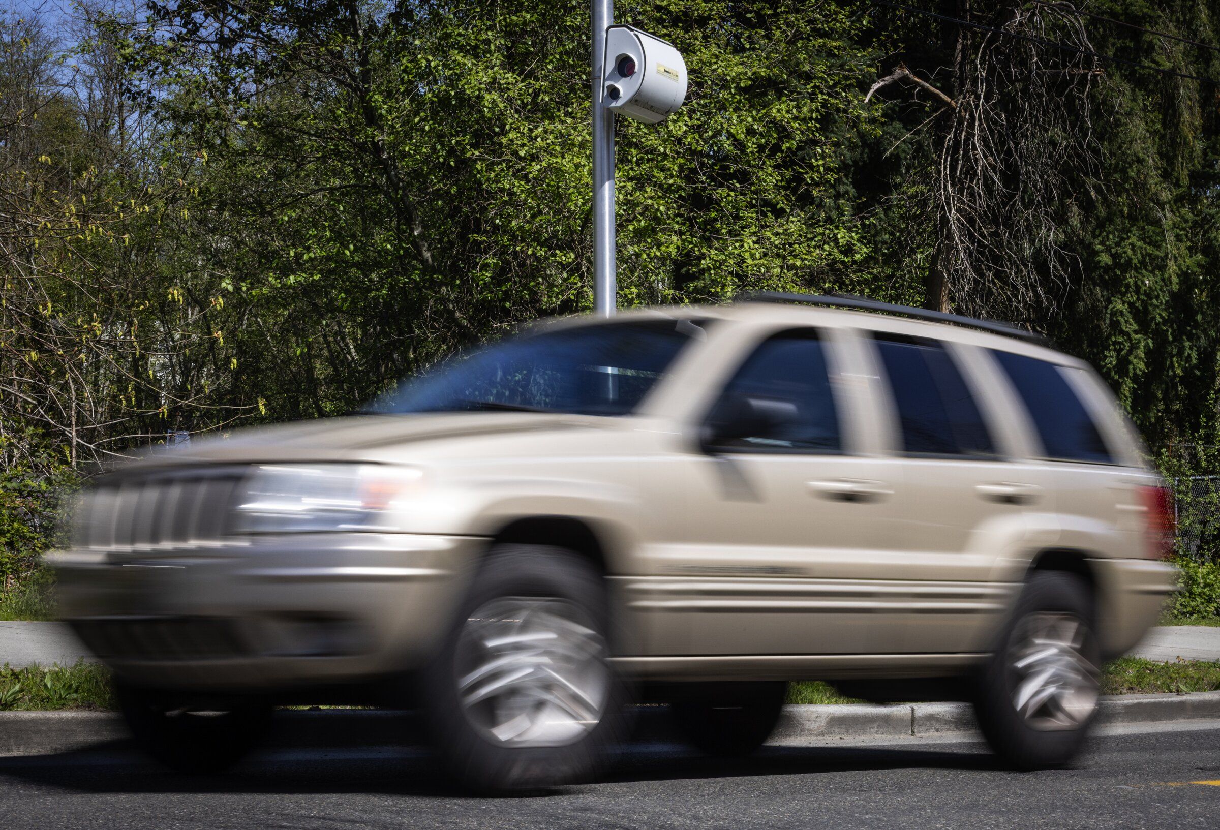 Traffic moves past a speed camera near Dearborn Park International Elementary School in Seattle. Like Federal Way to the south, Seattle is looking to expand the use of automated traffic enforcement. (Ken Lambert / The Seattle Times, 2025)