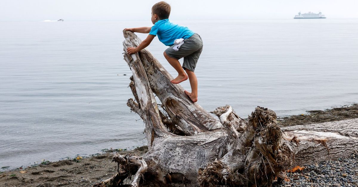 Finding fun in the fog on a log