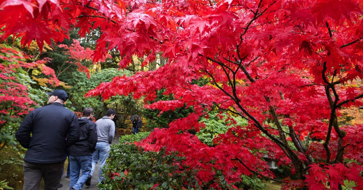 Seattle weather: A week of rain follows record dry October