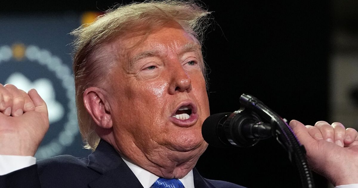 Ahead of midterms, Trump offers $1M reward to voter fraud tipsters