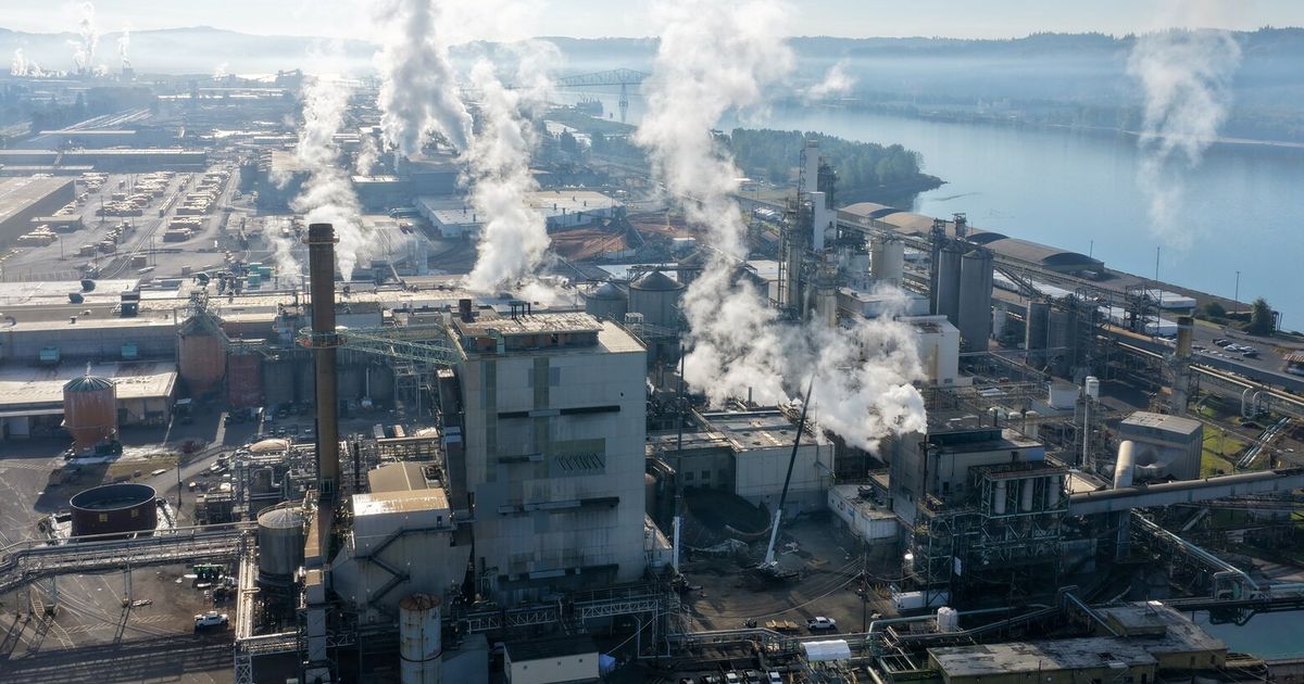 2 more grieving families sue Longview mill over ‘unimaginable losses’