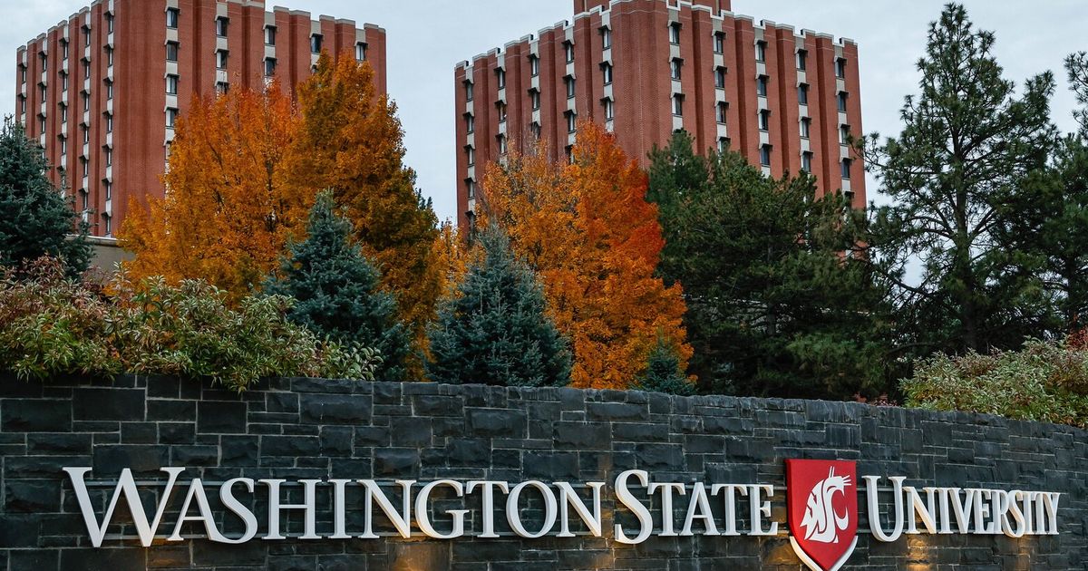 WSU students will need to complete first semester before Greek life recruitment